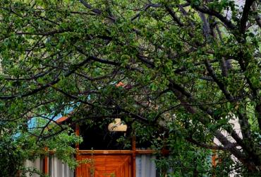 Luxury Rustic Cottage