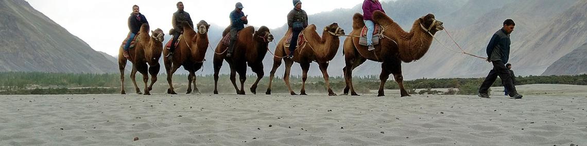 Ladakh Highlights Leh Ladakh Adventure 6 Nights 7 days Tour